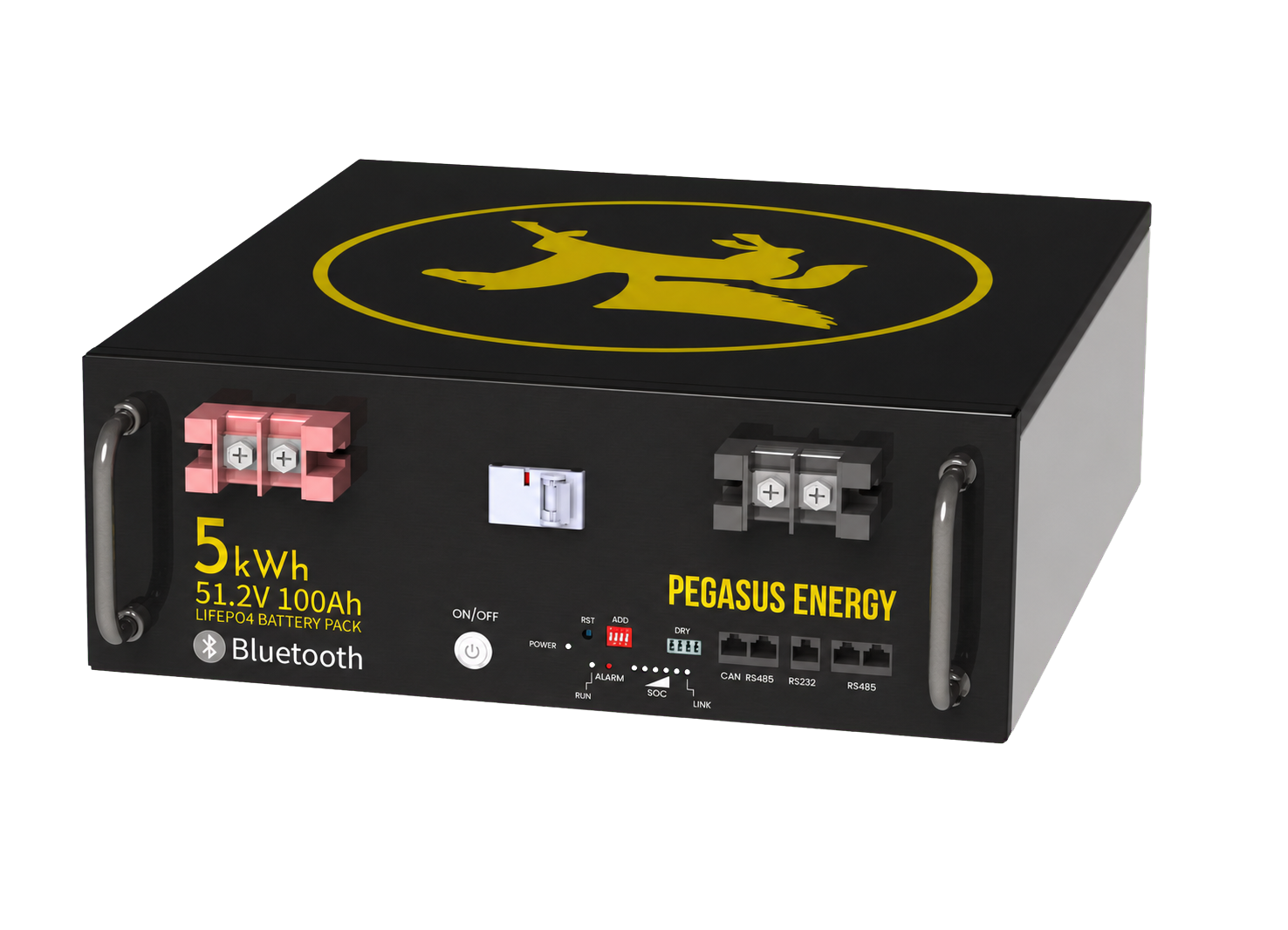 Pegasus Energy PE-LFP51-100 51.2V 100Ah battery pack