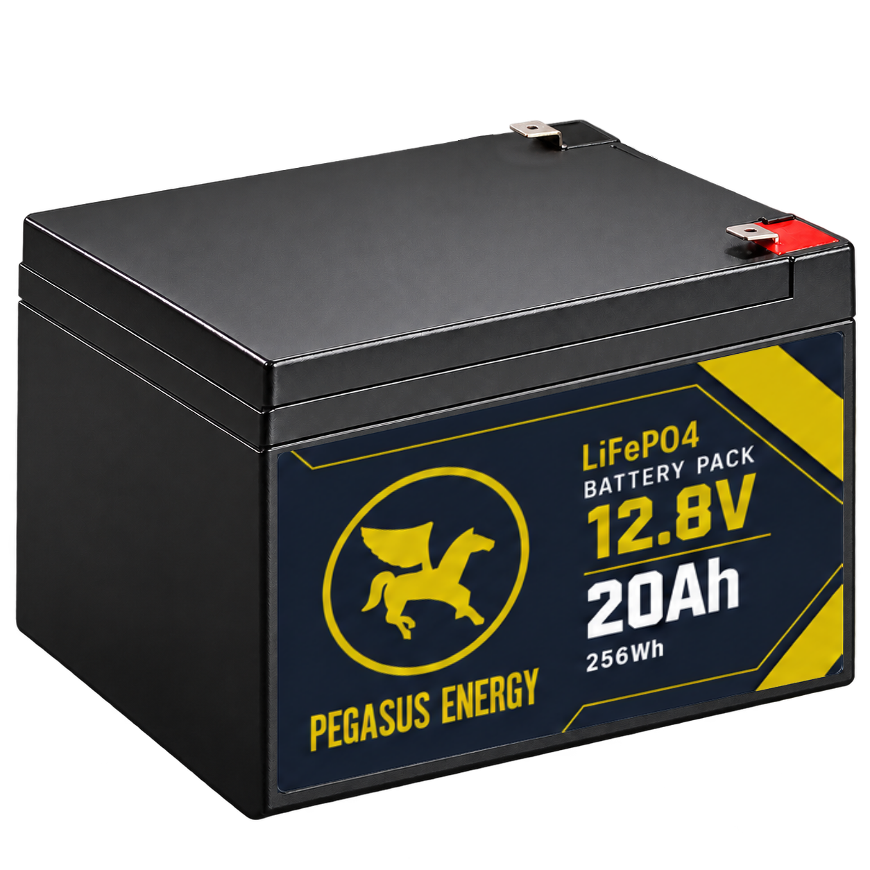Pegasus Energy 12.8V 20Ah battery
