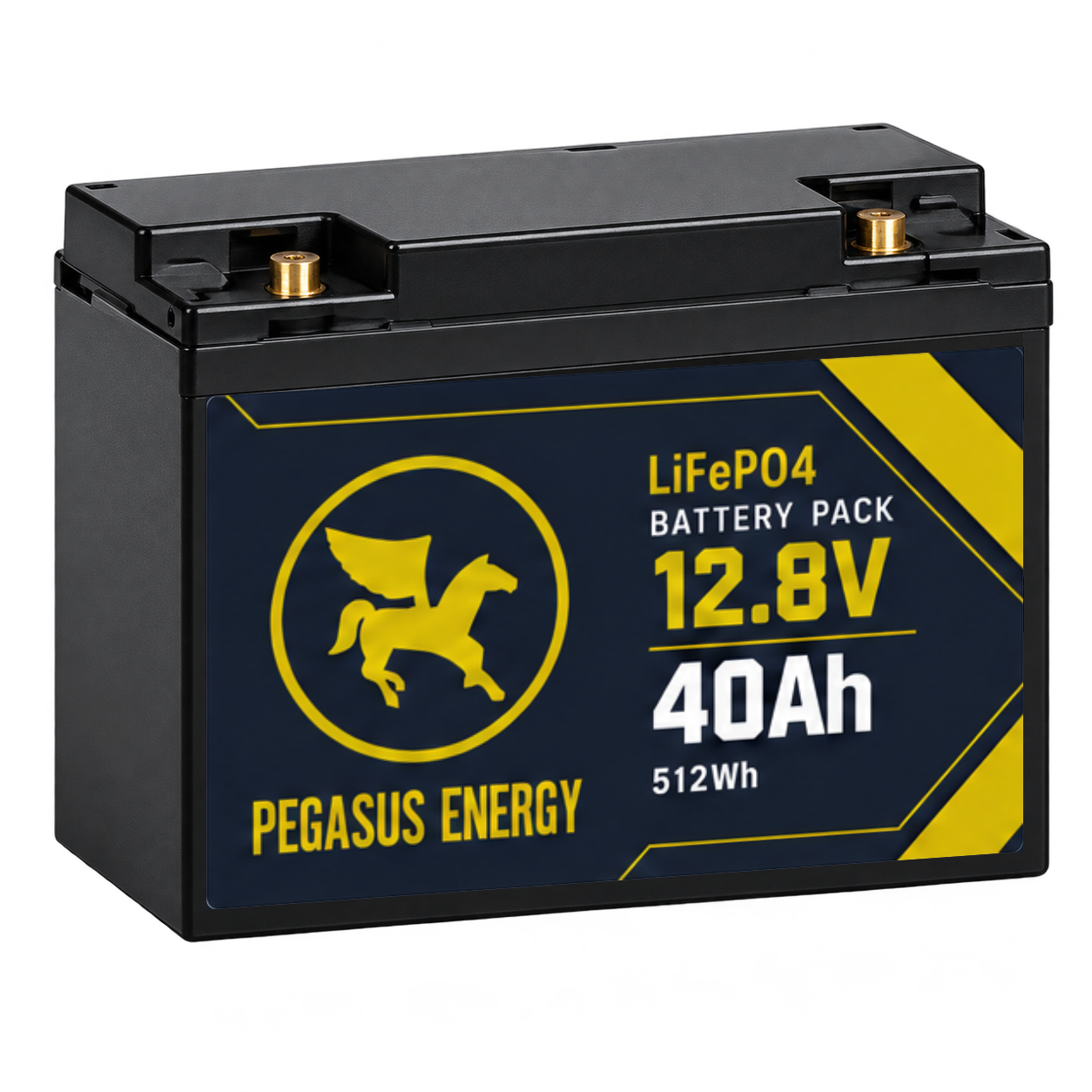 Pegasus Energy 12.8V 40Ah battery