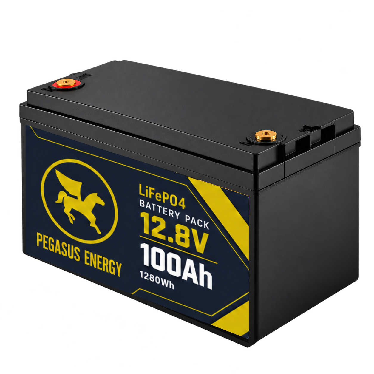 Pegasus Energy 12.8V 100Ah battery with approved navy and gold label