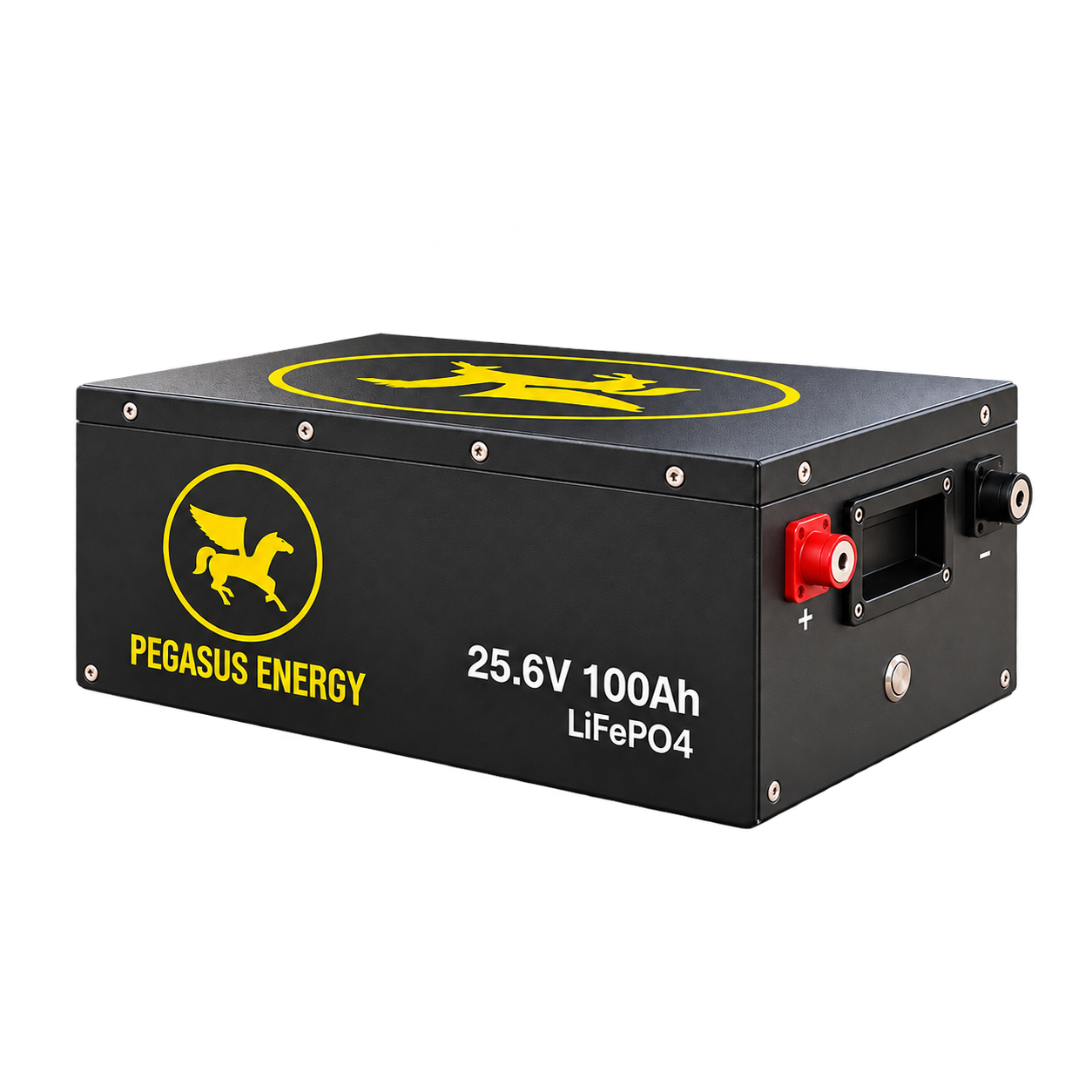 Pegasus 24V family 100Ah metal-case enclosure