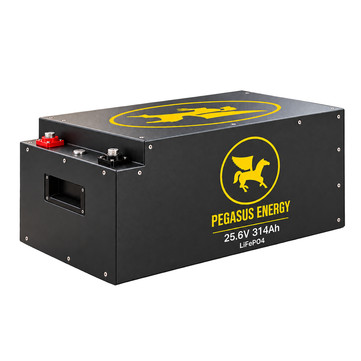 Pegasus Energy 24V 314Ah battery